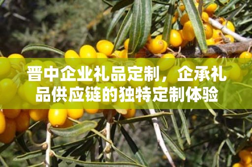 晋中企业礼品定制，企承礼品供应链的独特定制体验