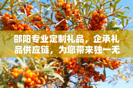 邵阳专业定制礼品，企承礼品供应链，为您带来独一无二的礼品定制体验