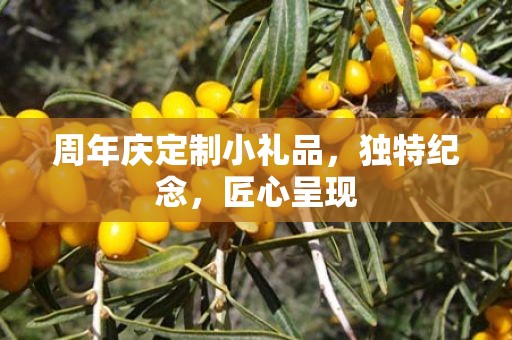 周年庆定制小礼品，独特纪念，匠心呈现