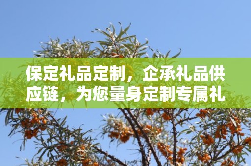 保定礼品定制，企承礼品供应链，为您量身定制专属礼品